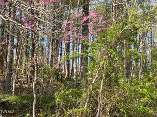 2 Lots Powell Valley Road Road, Big Stone Gap, VA 24219