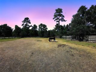 3850 Acorn Lane, Kingwood, TX 77365
