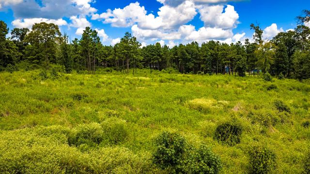 00 Bonfire Bend, Livingston, TX 77351