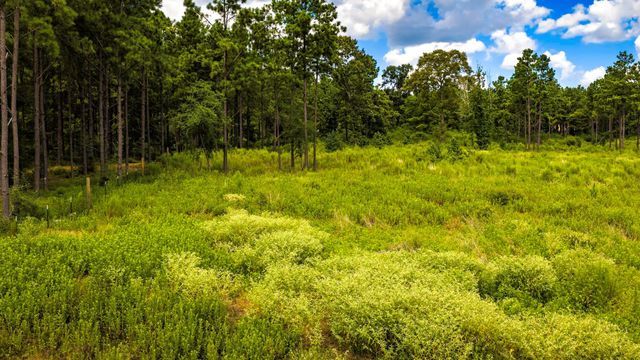 00 Bonfire Bend, Livingston, TX 77351