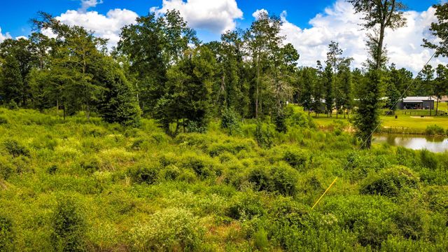 00 Bonfire Bend, Livingston, TX 77351