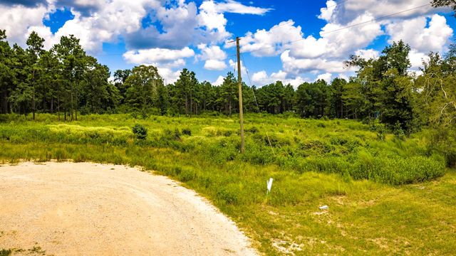 00 Bonfire Bend, Livingston, TX 77351