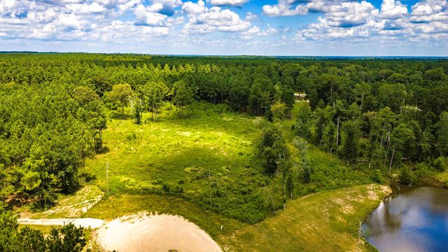 00 Bonfire Bend, Livingston, TX 77351