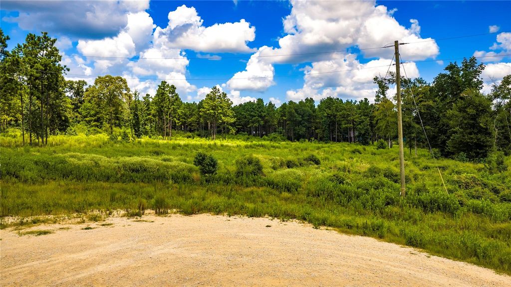 00 Bonfire Bend, Livingston, TX 77351