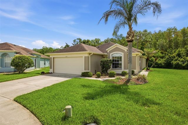 5600 SIR BARTON COURT, Wesley Chapel, FL 33544