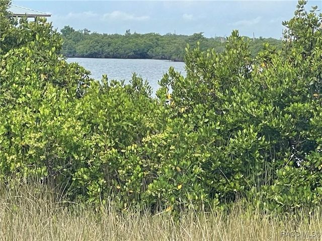 562 N Lake Circle, Crystal River, FL 34429