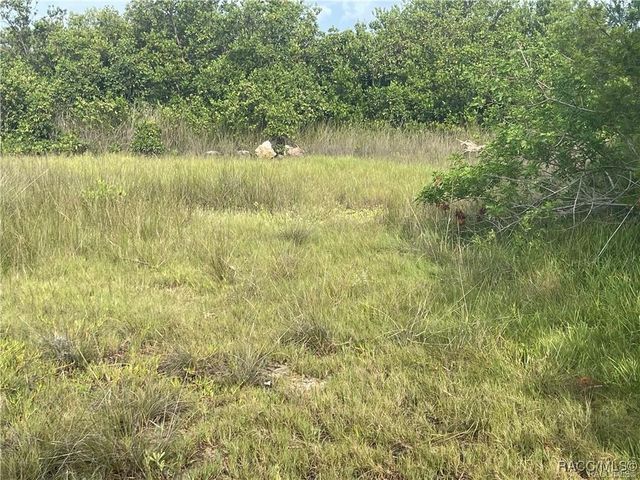 562 N Lake Circle, Crystal River, FL 34429