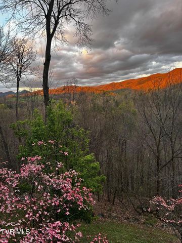 710 Gordon Ridge Road, Butler, TN 37640