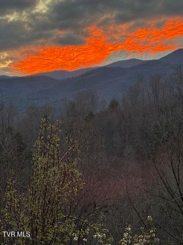 710 Gordon Ridge Road, Butler, TN 37640