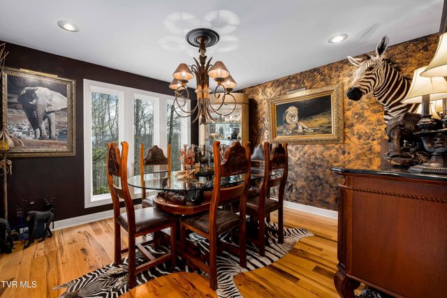 710 Gordon Ridge Road, Butler, TN 37640