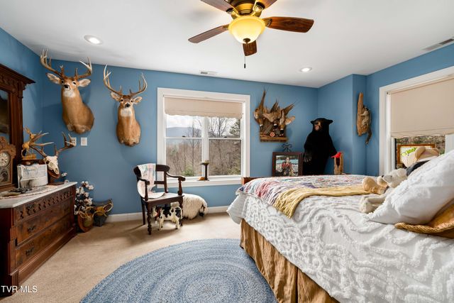 710 Gordon Ridge Road, Butler, TN 37640