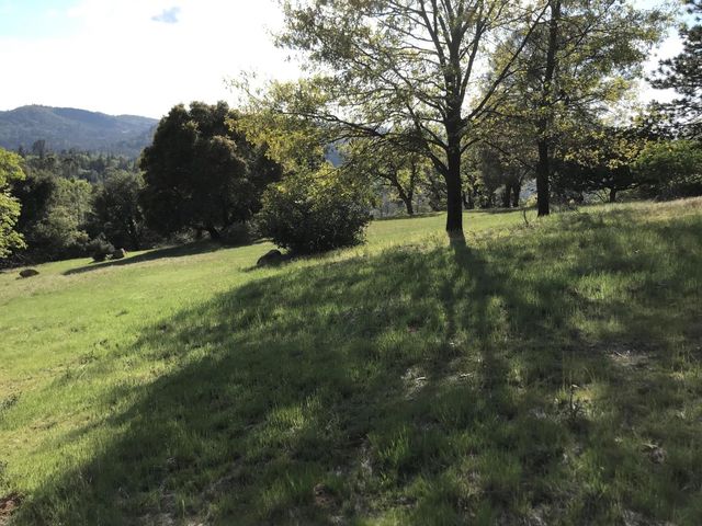 1000 Thundercloud Ln, Placerville, CA 95667