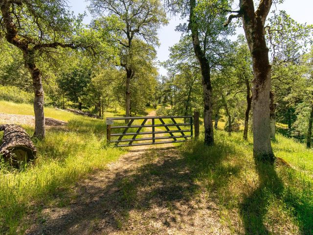 1000 Thundercloud Ln, Placerville, CA 95667