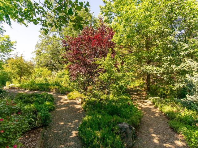 1000 Thundercloud Ln, Placerville, CA 95667