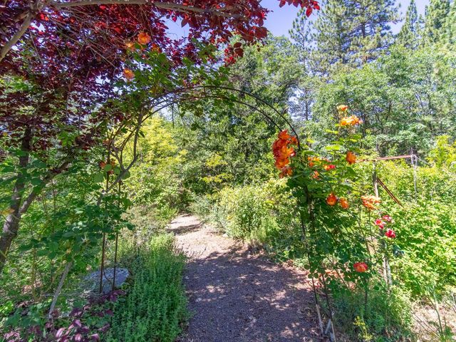 1000 Thundercloud Ln, Placerville, CA 95667