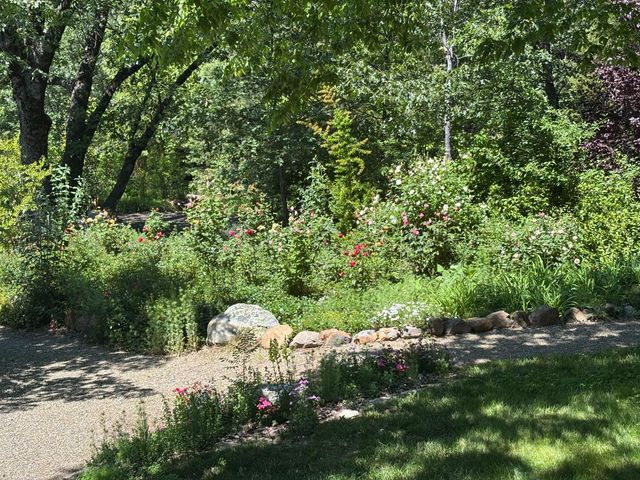 1000 Thundercloud Ln, Placerville, CA 95667