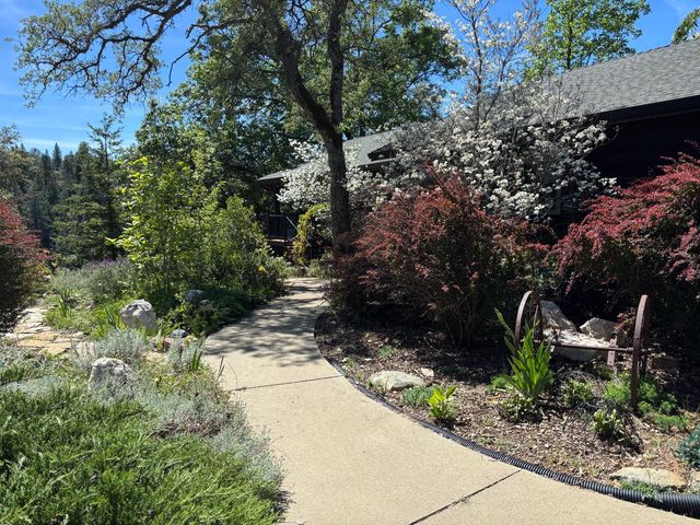 1000 Thundercloud Ln, Placerville, CA 95667