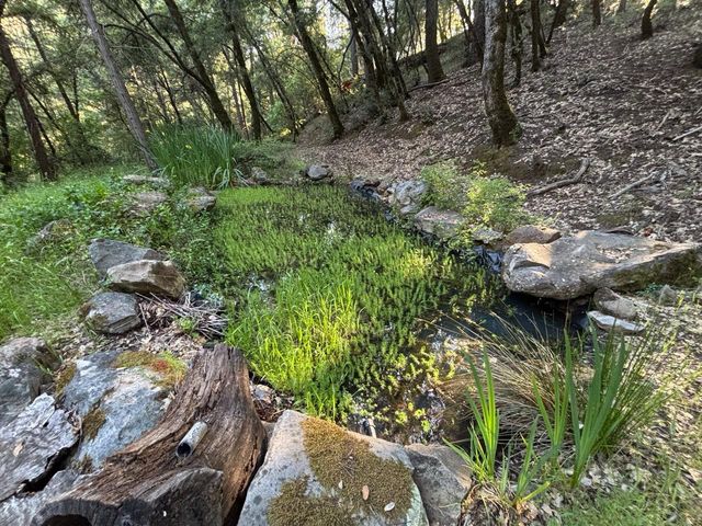 1000 Thundercloud Ln, Placerville, CA 95667