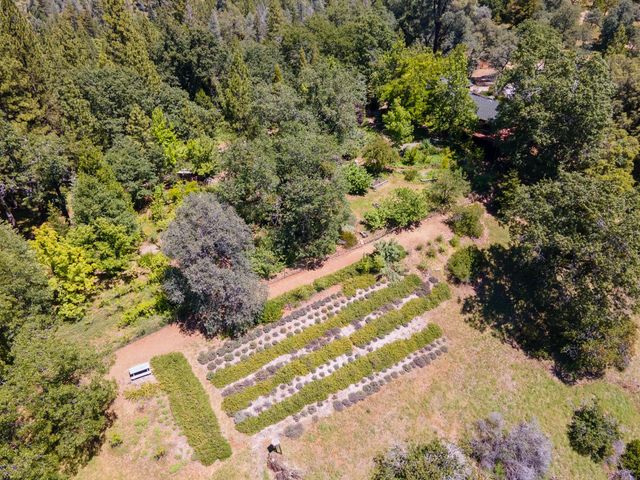1000 Thundercloud Ln, Placerville, CA 95667