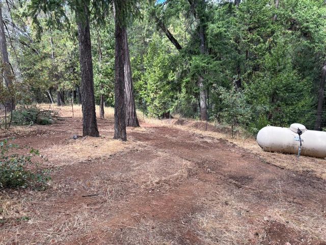 1000 Thundercloud Ln, Placerville, CA 95667