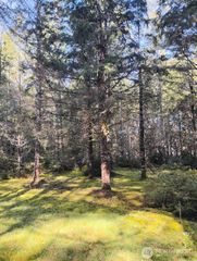 1731 E Saint Andrews Dr. N, Shelton, WA 98584