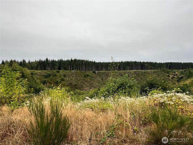 1 XX Scenic Drive, Poulsbo, WA 98370