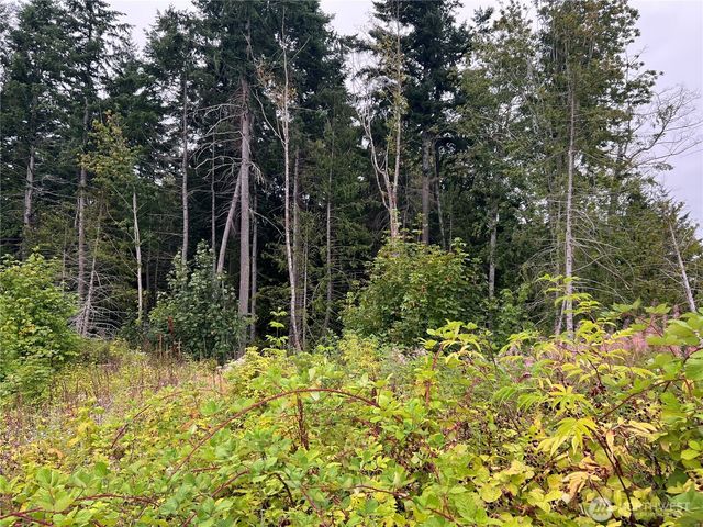 1 XX Scenic Drive, Poulsbo, WA 98370