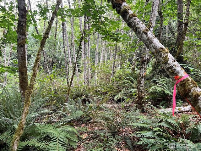 1 XX Scenic Drive, Poulsbo, WA 98370