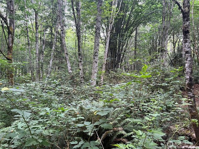 1 XX Scenic Drive, Poulsbo, WA 98370