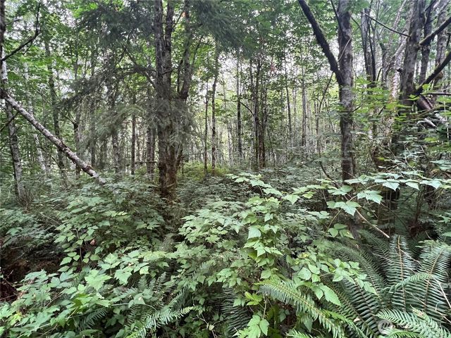 1 XX Scenic Drive, Poulsbo, WA 98370