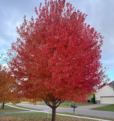 7357 Lambert Avenue NE, Otsego, MN 55301