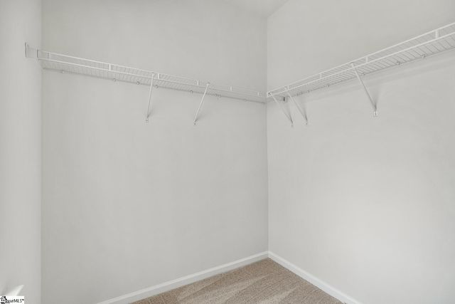 11 Lone Cypress Street, Travelers Rest, SC 29690