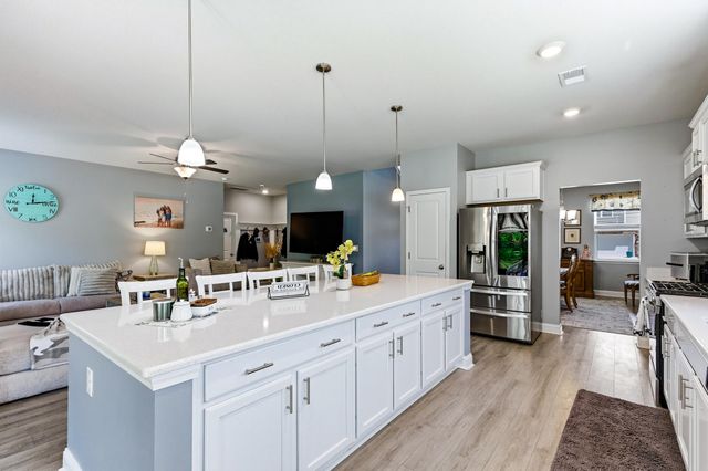 244 Walnut Grove Ct., Myrtle Beach, SC 29579