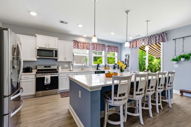 244 Walnut Grove Ct., Myrtle Beach, SC 29579