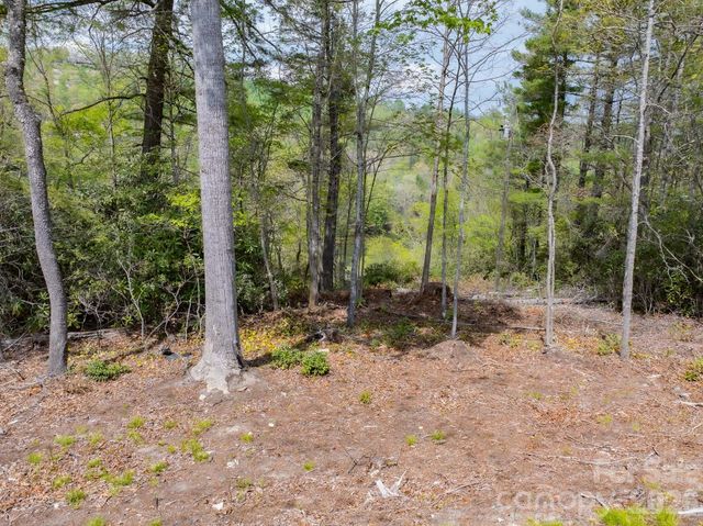 1971 Swiss Pine Lake Drive, Spruce Pine, NC 28777