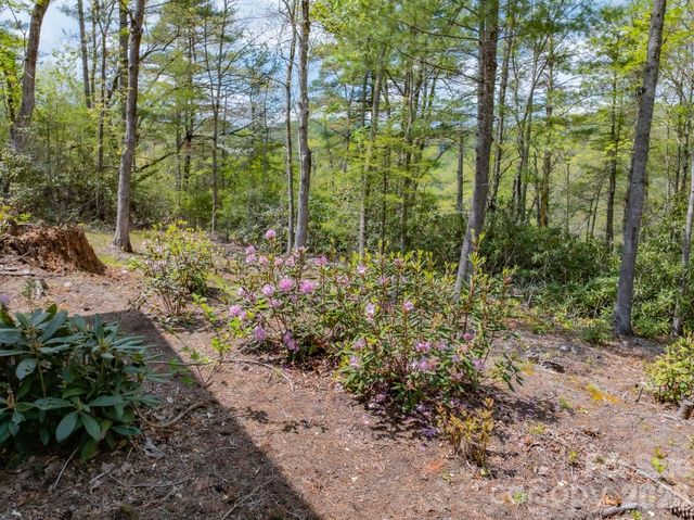 1971 Swiss Pine Lake Drive, Spruce Pine, NC 28777