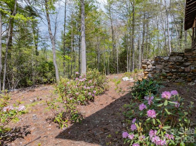 1971 Swiss Pine Lake Drive, Spruce Pine, NC 28777