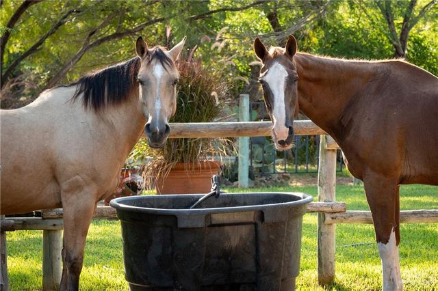 5830 Westminster Avenue, Mission, TX 78573