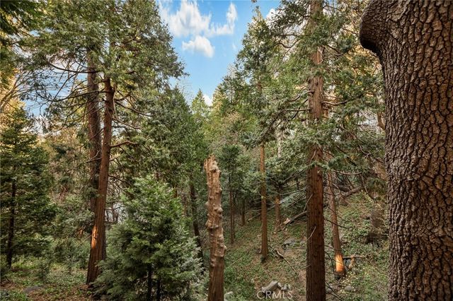 23730 Scenic, Crestline, CA 92325