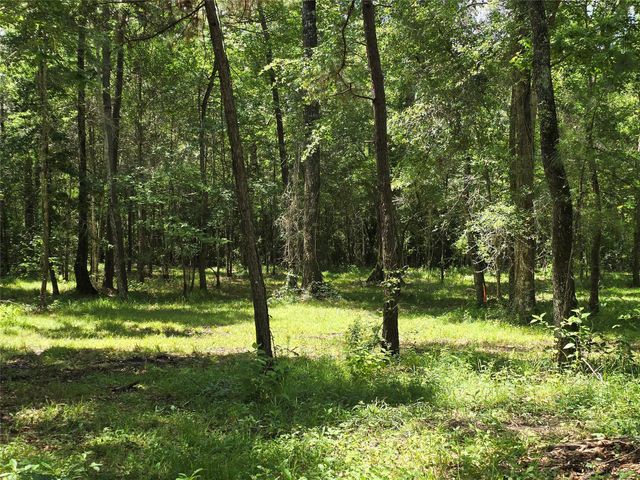 000 TBD Hwy 150 W, Coldspring, TX 77331