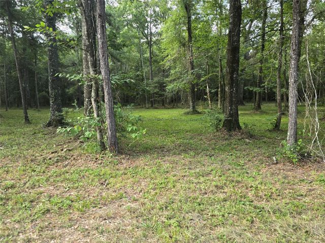 000 TBD Hwy 150 W, Coldspring, TX 77331