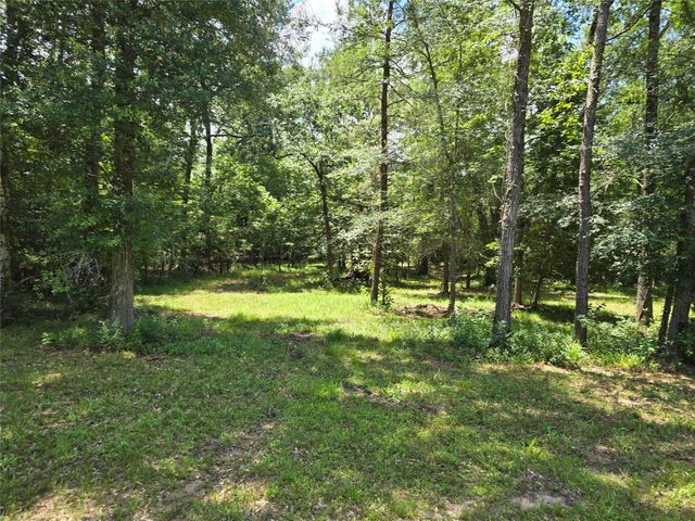 000 TBD Hwy 150 W, Coldspring, TX 77331