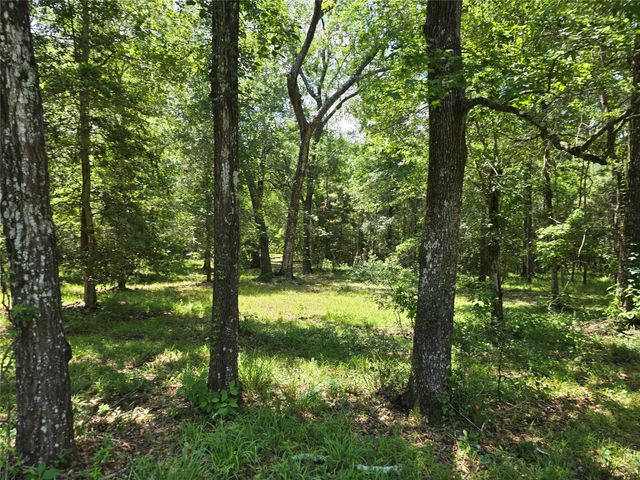 000 TBD Hwy 150 W, Coldspring, TX 77331