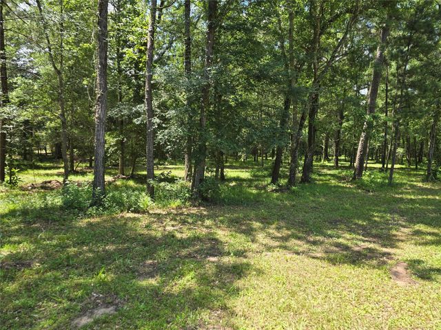000 TBD Hwy 150 W, Coldspring, TX 77331