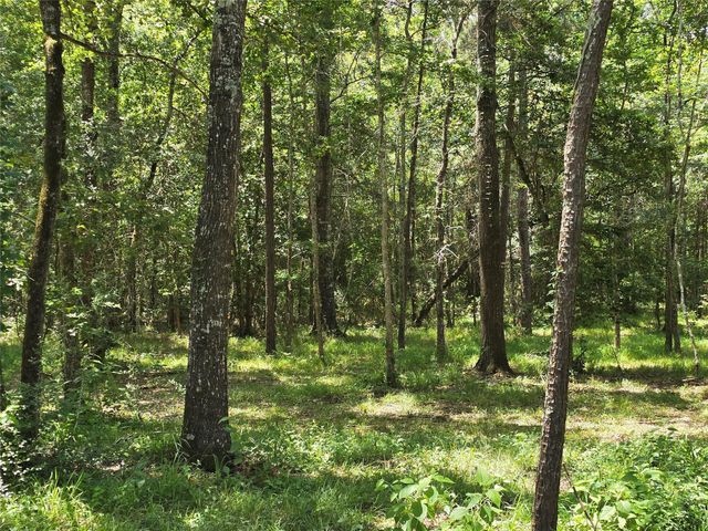 000 TBD Hwy 150 W, Coldspring, TX 77331