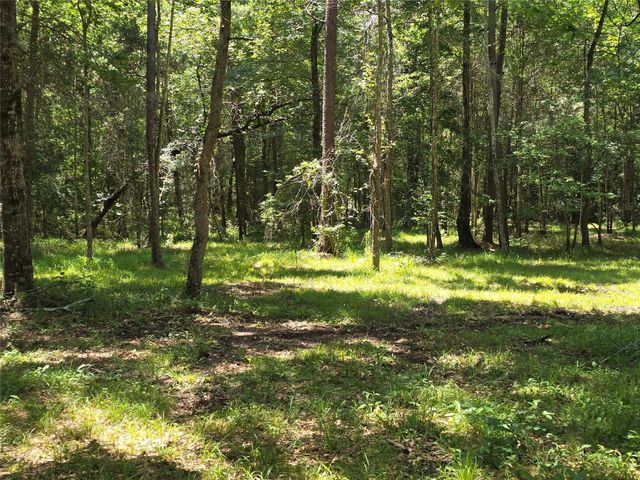 000 TBD Hwy 150 W, Coldspring, TX 77331
