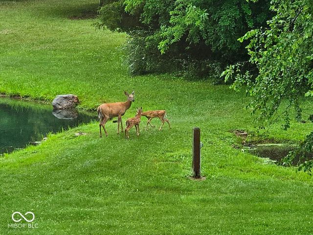 5306 State Road 144, Greenwood, IN 46143