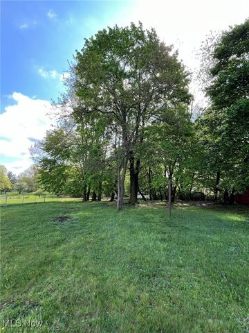 805 Utica Avenue, Akron, OH 44312