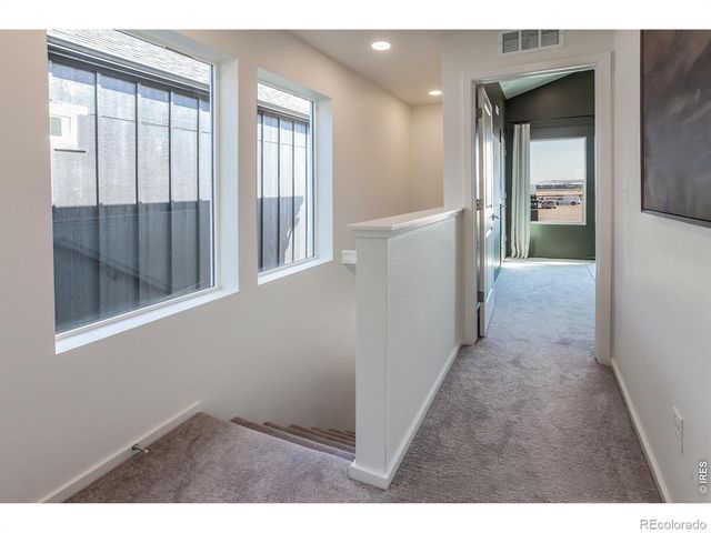 955 Trumpet Lane, Windsor, CO 80550