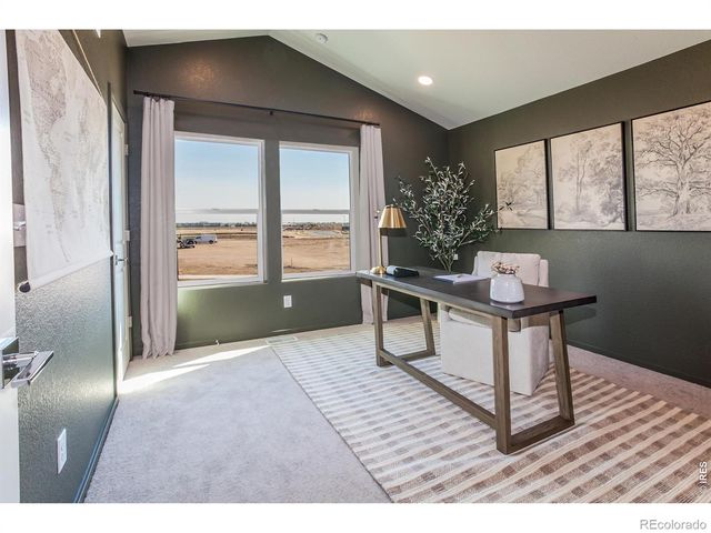 955 Trumpet Lane, Windsor, CO 80550